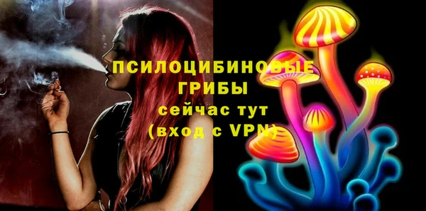 PSILOCYBIN Кулебаки